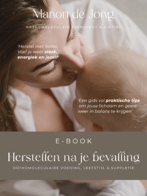 E-book Herstel na zwangerschap